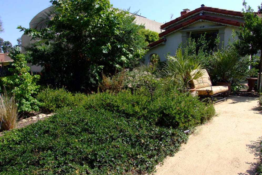 Tuscan Backyard